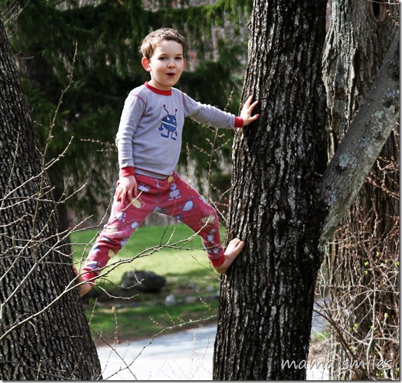 climbing-trees